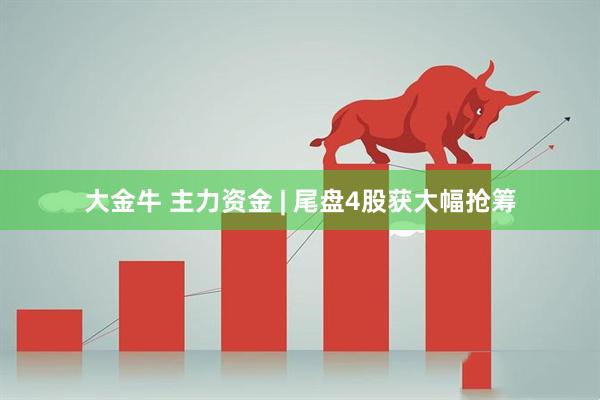 大金牛 主力资金 | 尾盘4股获大幅抢筹
