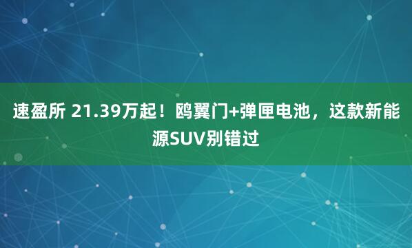 速盈所 21.39万起！鸥翼门+弹匣电池，这款新能源SUV别错过