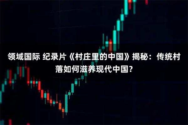 领域国际 纪录片《村庄里的中国》揭秘：传统村落如何滋养现代中国？