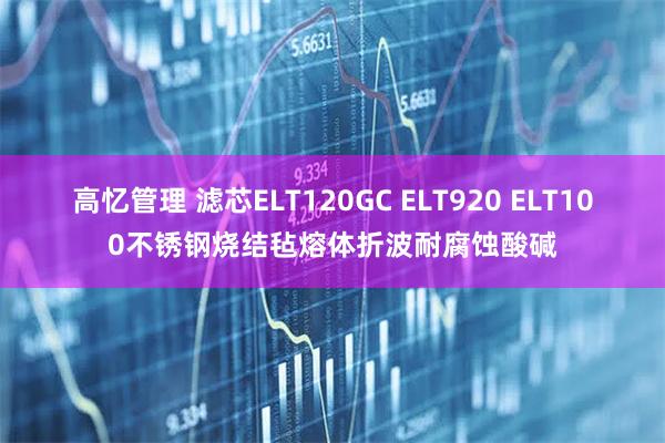 高忆管理 滤芯ELT120GC ELT920 ELT100不锈钢烧结毡熔体折波耐腐蚀酸碱