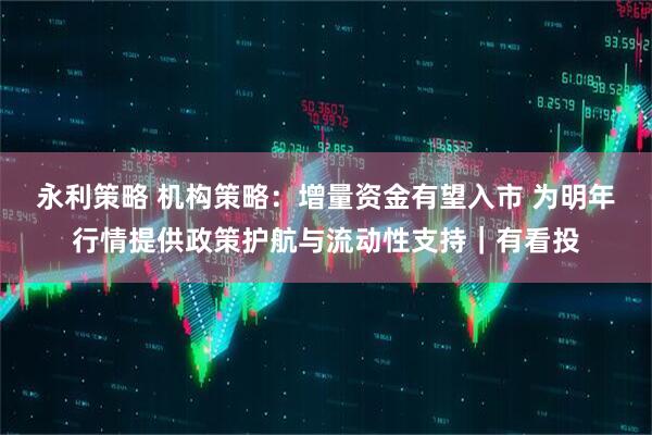 永利策略 机构策略：增量资金有望入市 为明年行情提供政策护航与流动性支持｜有看投